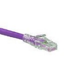 CAT 6 Ethernet Patch Cable - DataMax - Certified Purple