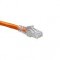 CAT 6 Ethernet Patch Cable - DataMax - Certified Orange